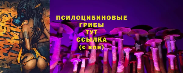 ECSTASY Белоозёрский