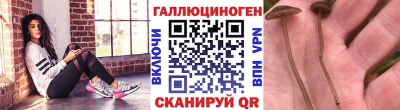 Галлюциногенные грибы MAGIC MUSHROOMS  Купить  Медвежьегорск 